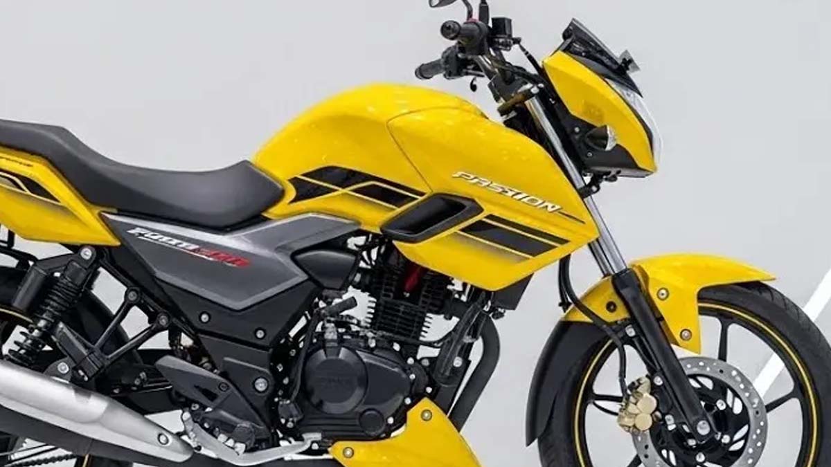 Hero Passion Pro 2026